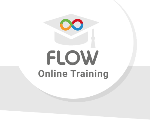 FLOW Training